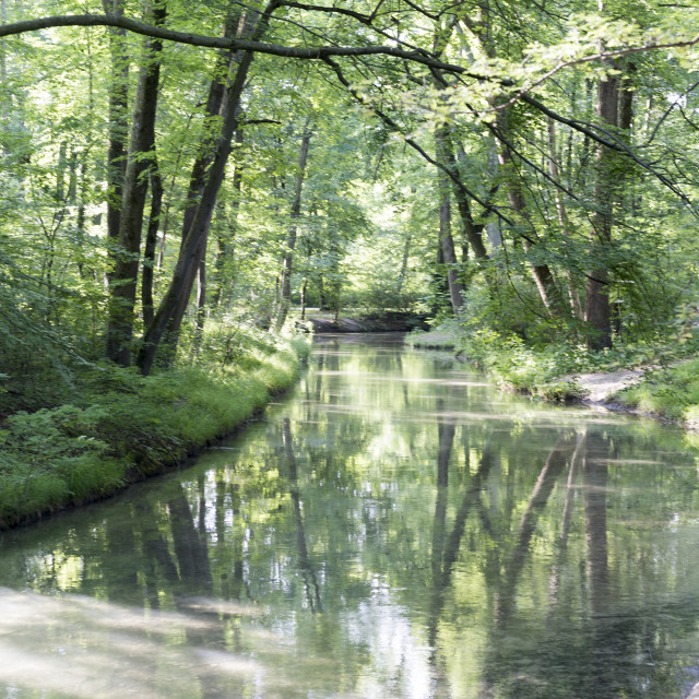 "English Garden Park" stock image