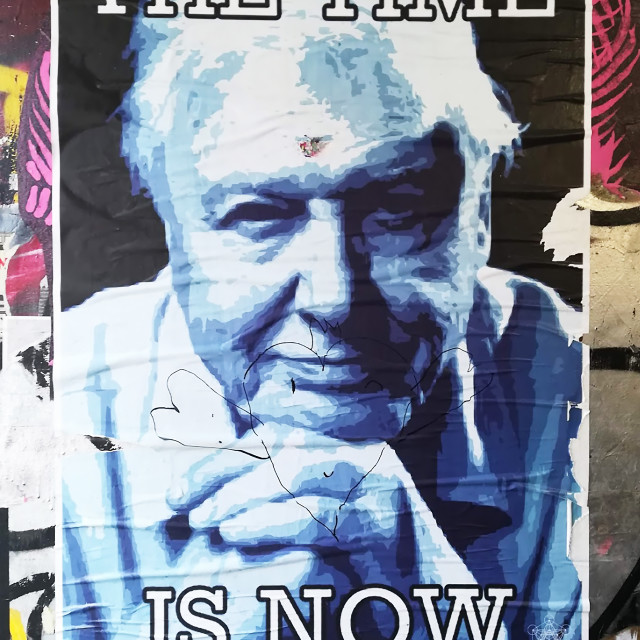 "David Attenborough Street art" stock image