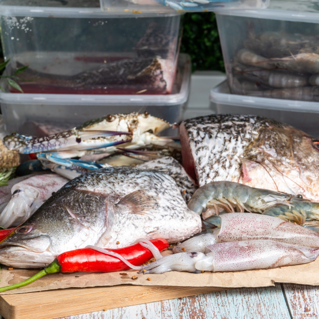 "Fresh Seafood - Golden Snapper, Sea Bass, Prawns, Crabs, and Squids - on a..." stock image