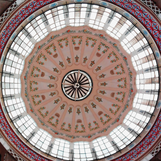 "Valencia's Central Market Dome" stock image