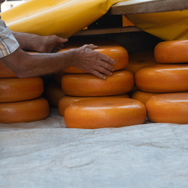 "Dutch Cheese market in of City Alkmaar" by frederik enneman - £20.00 "Dutch Cheese market in of City Alkmaar" stock image