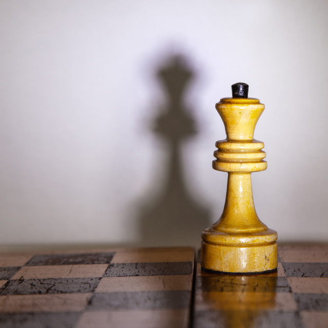 "chess queen with the shadow on chessboard" stock image