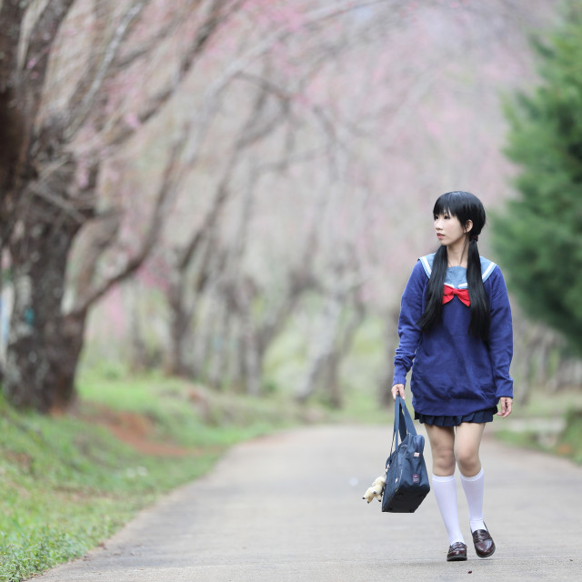 "japanese school girl with flower" stock image