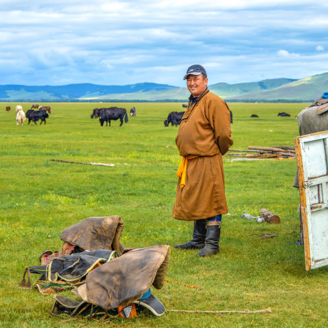 "Nomad Next To HIs Home Watching Over Herd of Yaks" stock image