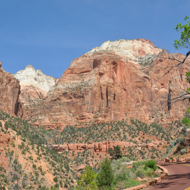 "zion canyon in utah" stock image