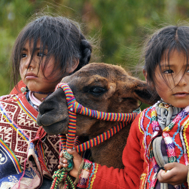 "portraits of peruan native people" stock image