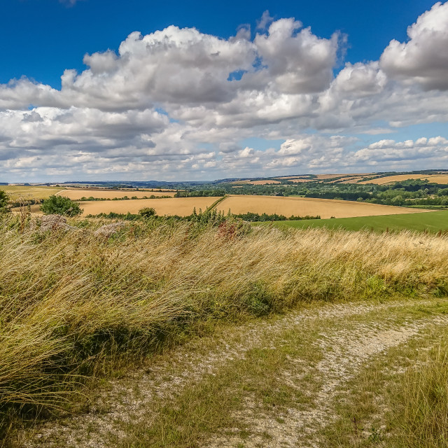 "A Winding Track On Salisbury Plain" stock image