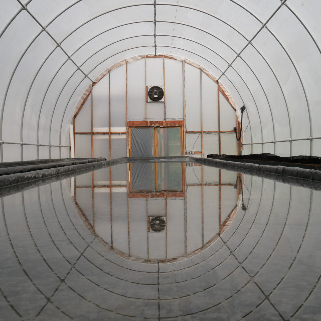 "Reflection in salt" stock image