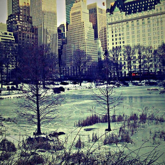 "The big apple" stock image