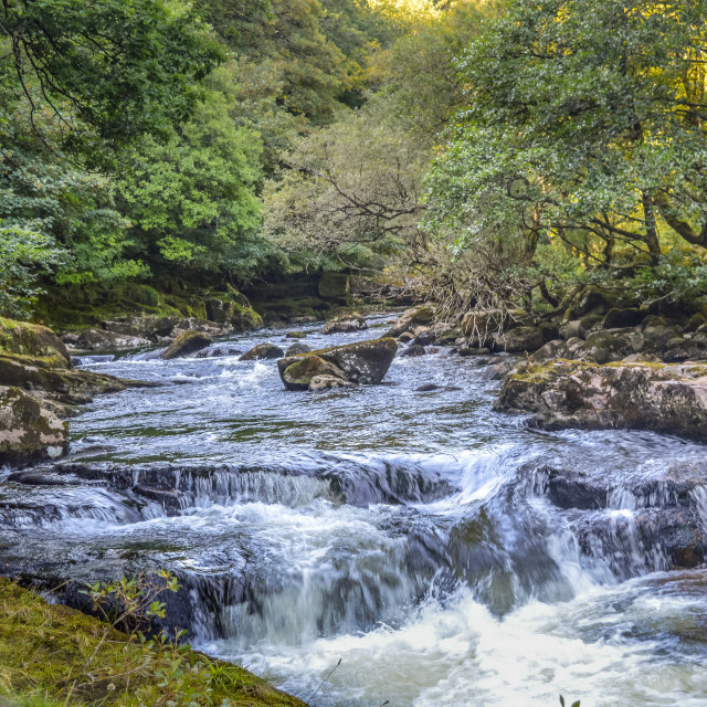 "Wild River Dart On Dartmoor" stock image