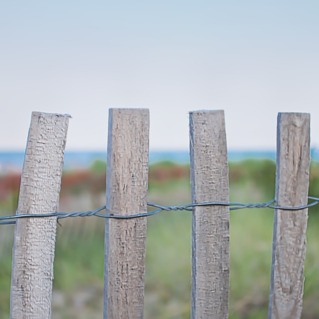 "ocean view fence and meadow" by JOHN MOUNT - $25.14 "ocean view fence and meadow" stock image