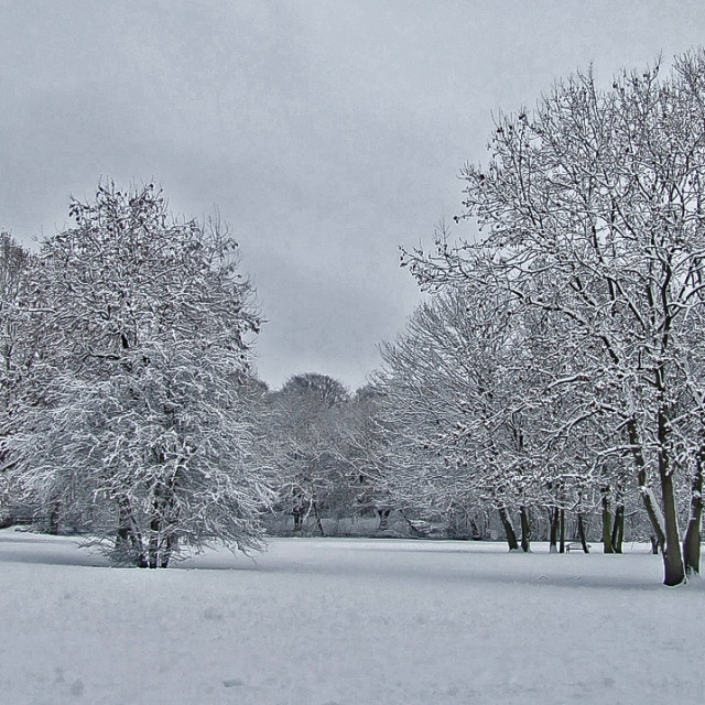 "Sankey Valley Park after a snowstorm" stock image