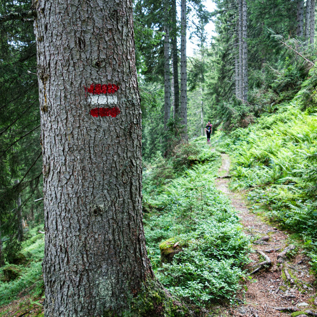 "National footpath" stock image