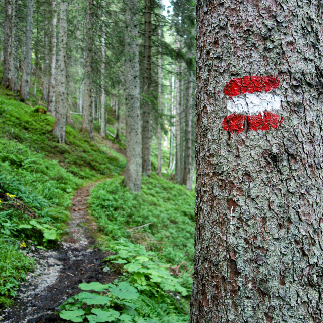 "The path less travelled" stock image