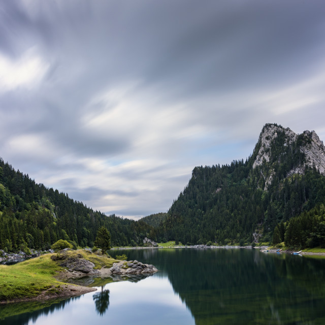 "Lone tree reflection" stock image