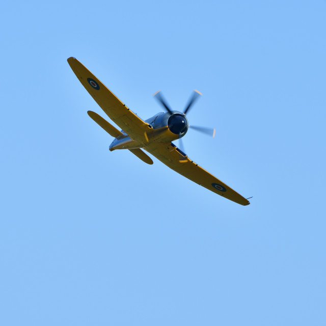 "Hawker Fury MK II SR661" stock image