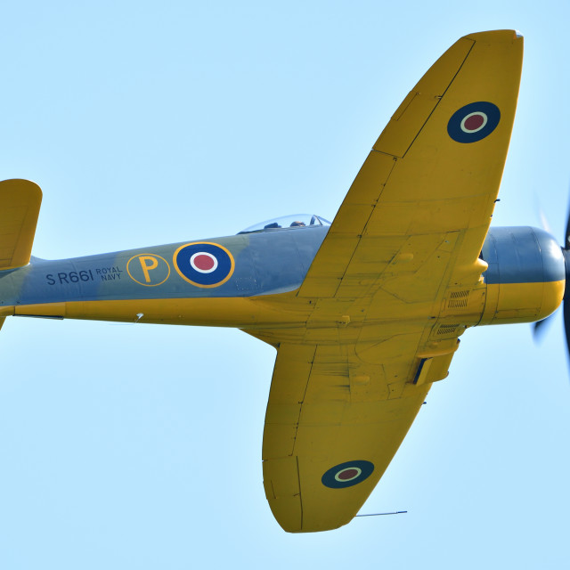 "Hawker Fury Mk II" stock image