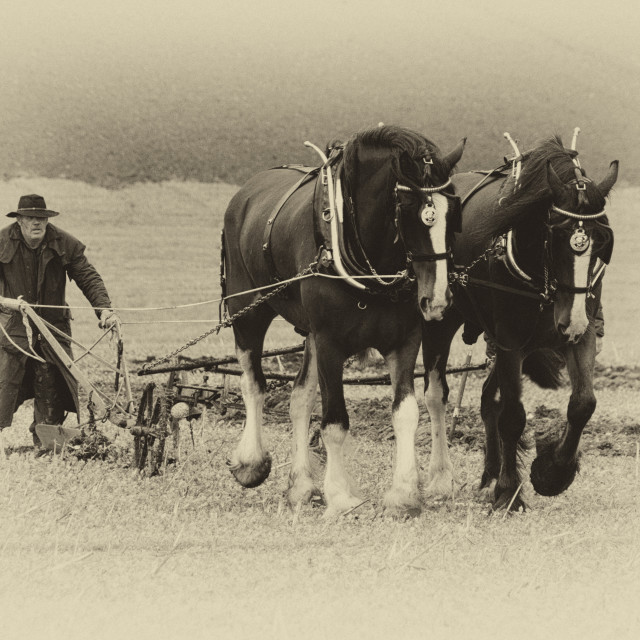 "Follow the Plough #5" stock image