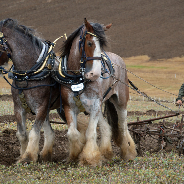 "Follow the Plough #6" stock image