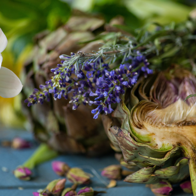 "Vege Stil Life with artichoke" by frederik enneman - £20.00 "Vege Stil Life with artichoke" stock image