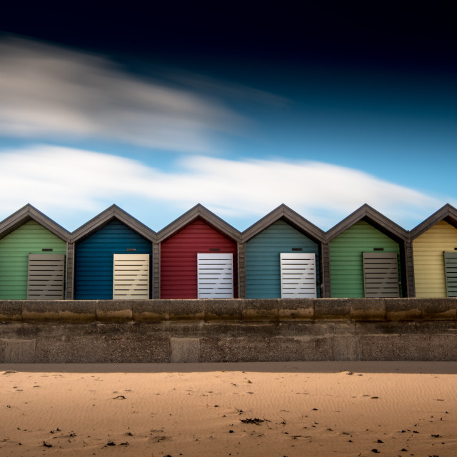 "All Together" by Andrew Gray Photography - £25.00 "All Together" stock image