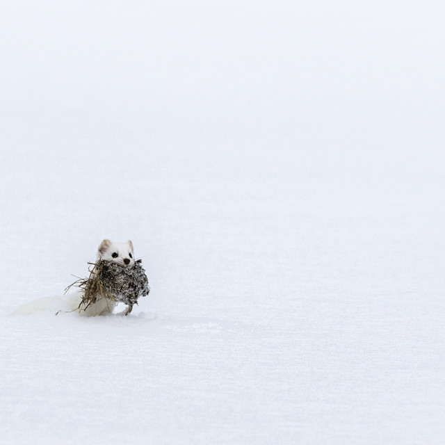 "Ermine Way" stock image