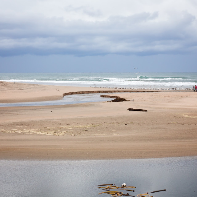 "Sandy Beach With Dramatic Sky, Birds, and Waves Rolling in at Half Moon Bay, California" stock image