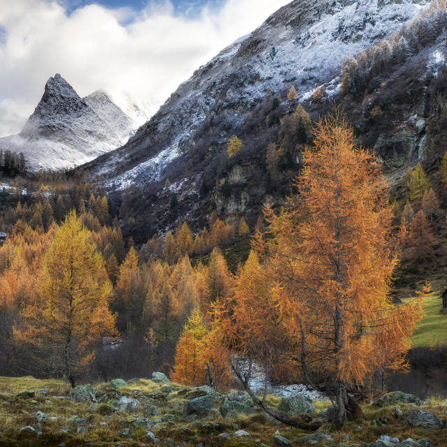 "Swiss painting" stock image