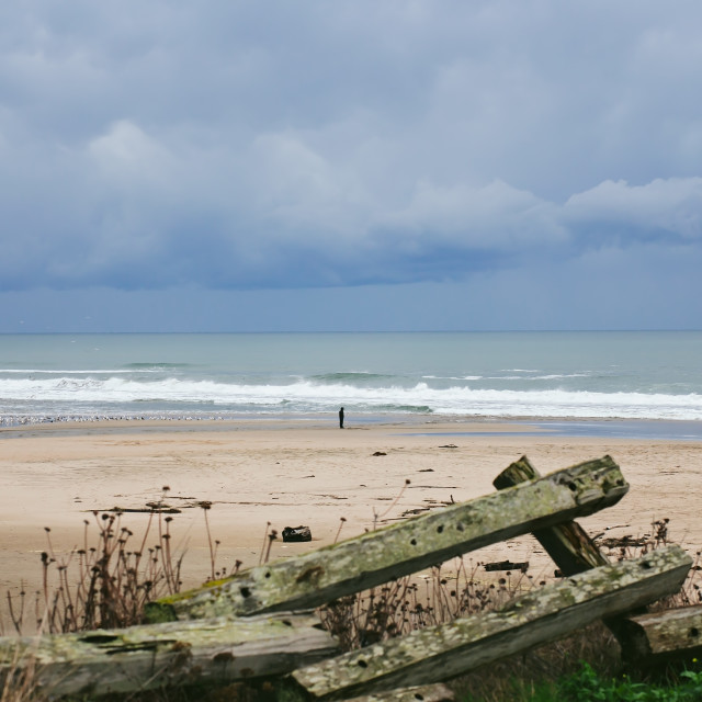 "Person on Sandy Beach With Birds and Waves Rolling in, With Dramatic Sky Background" stock image