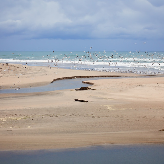 "Flock of Seagulls Flying on a Sandy Beach and Lagoon With Dramatic Clouds and Sky" stock image