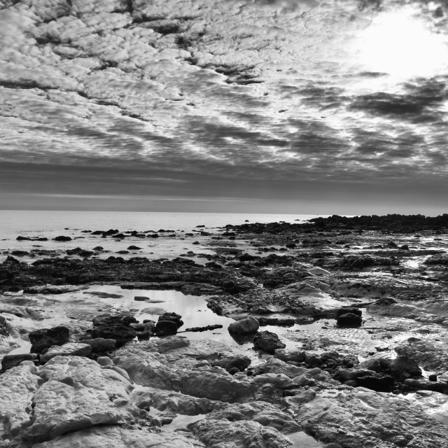 "Black and white beach" stock image