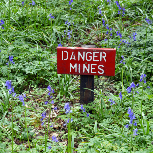 "Dangerous woodland" stock image