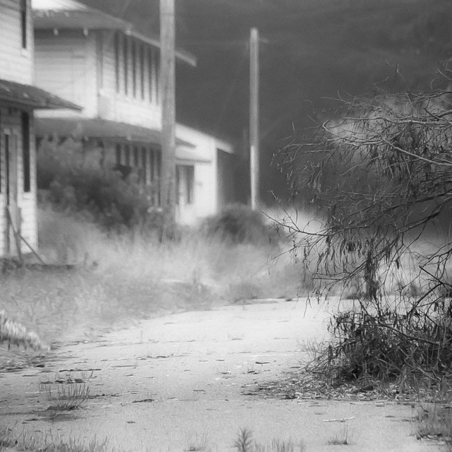 "Fort Ord" by JOHN MOUNT - $25.14 "Fort Ord" stock image
