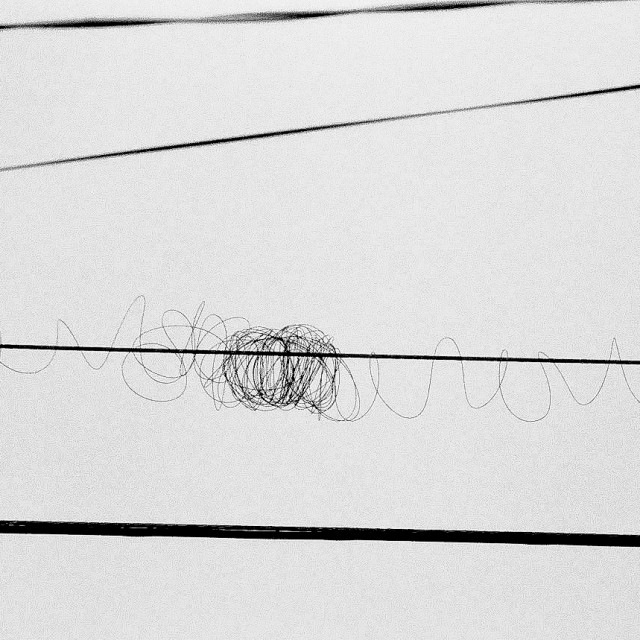 "Ft Ord" by JOHN MOUNT - $25.14 "Ft Ord" stock image