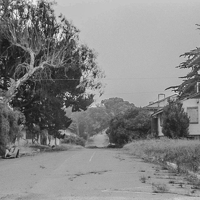 "Fort Ord" by JOHN MOUNT - $25.14 "Fort Ord" stock image