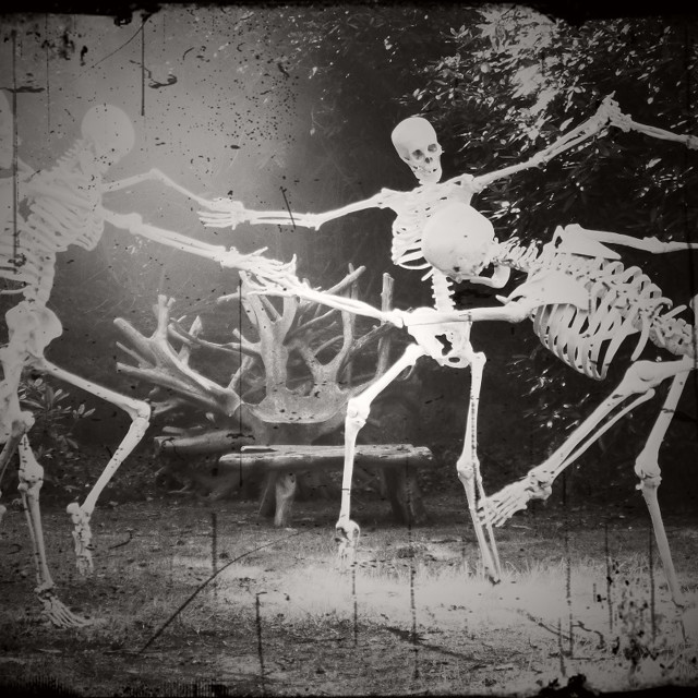 "Dance of the Dead" stock image