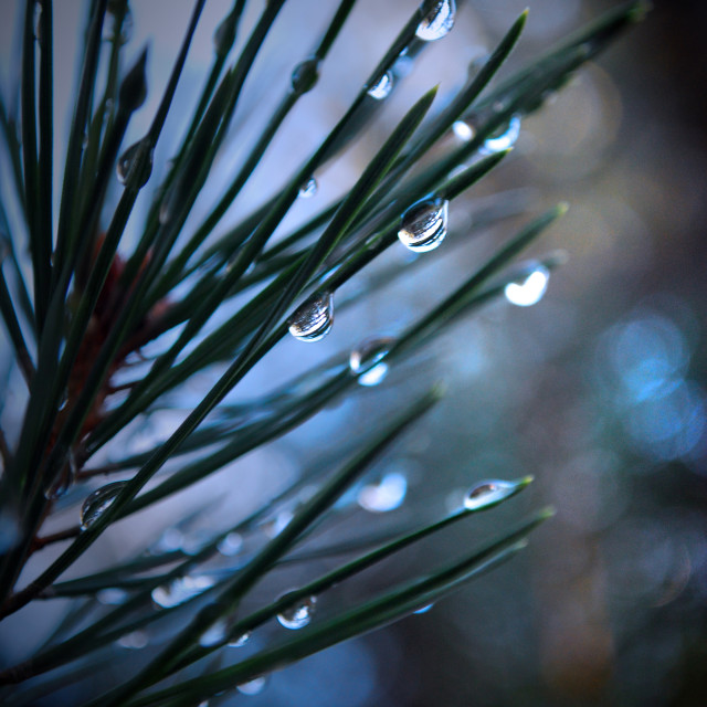 "Drops" stock image