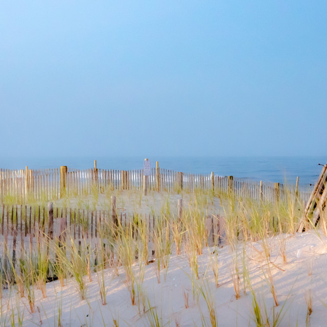 "Beach Fence, sand dunes" by JOHN MOUNT - $25.14 "Beach Fence, sand dunes" stock image