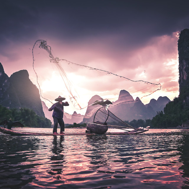 "Cormorant Fisherman at Sunset" stock image
