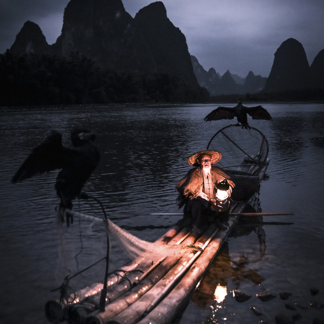 "Cormorant fisherman setting in for the night" stock image