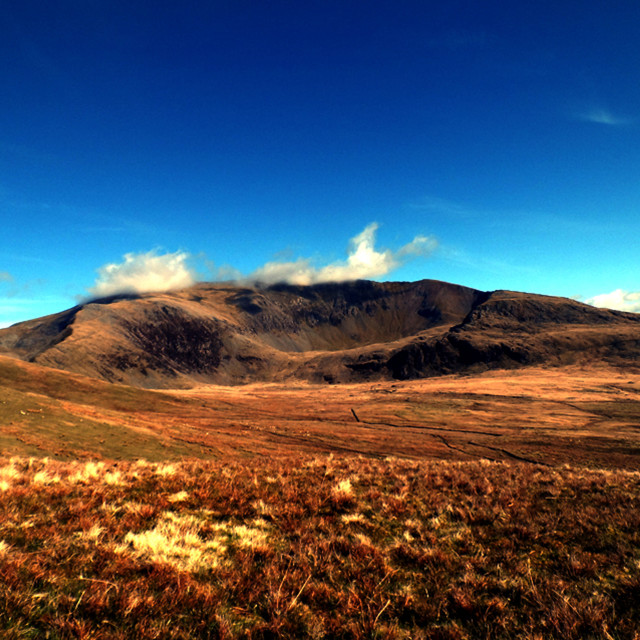 "Snowdon Savanna" stock image