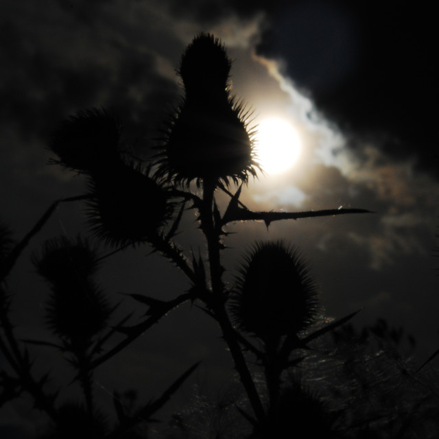 "The Dream Catchers" stock image