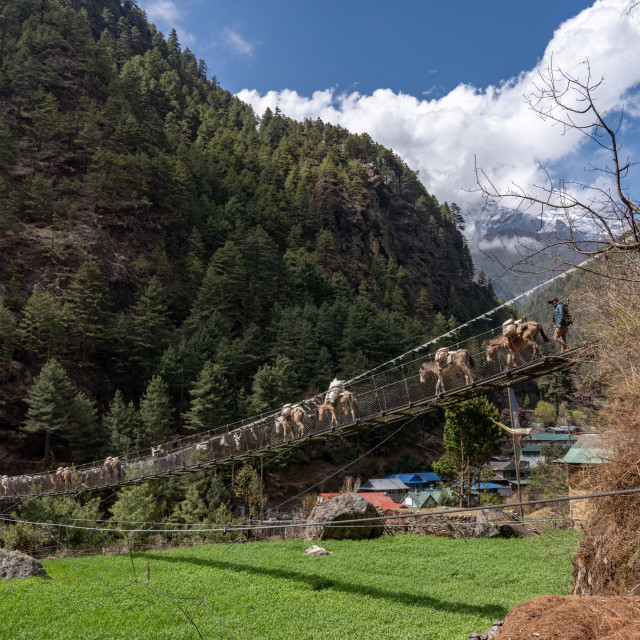 "Suspended Bridge in the Himalayas" by Charley Vision - $4.88 "Suspended Bridge in the Himalayas" stock image