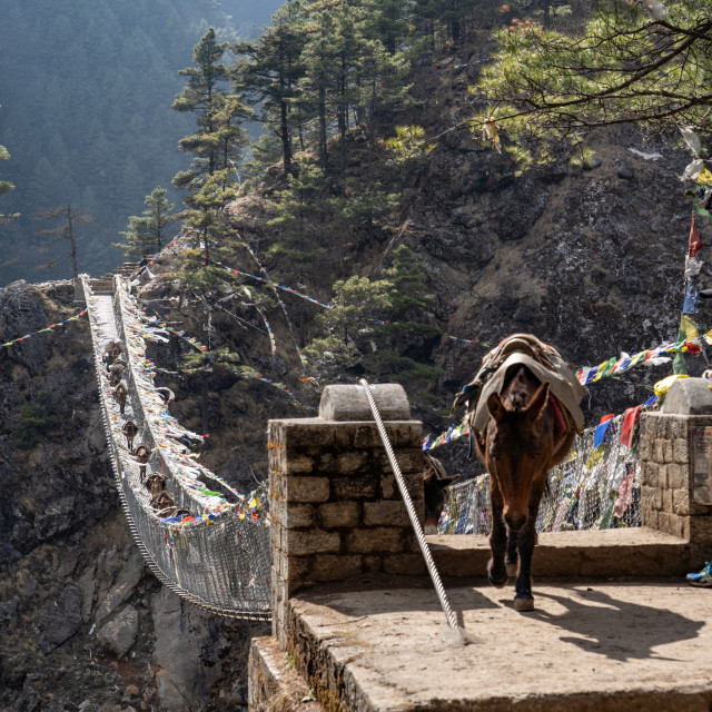 "Suspended Bridge in the Himalayas" by Charley Vision - $4.88 "Suspended Bridge in the Himalayas" stock image