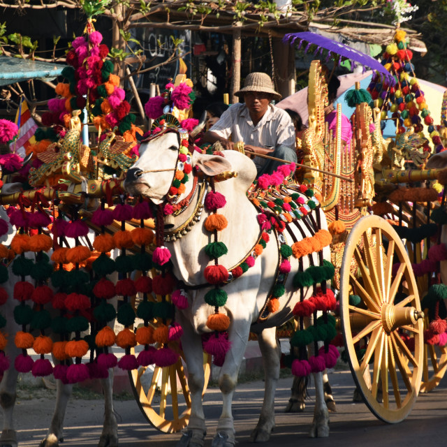 "Colourful Procession" stock image