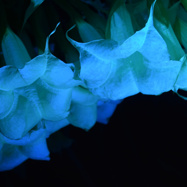 "Graveyard Blue" stock image