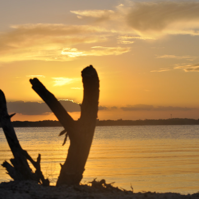 "sunset beauty" by Janille Eclavea - $6.20 "sunset beauty" stock image