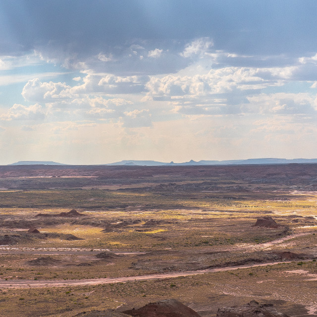 "The American Southwest / Arizona / New Mexico" by JOHN MOUNT - $25.14 "The American Southwest / Arizona / New Mexico" stock image