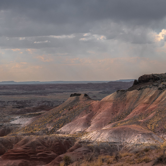 "The American Southwest / Arizona / New Mexico" by JOHN MOUNT - $25.14 "The American Southwest / Arizona / New Mexico" stock image