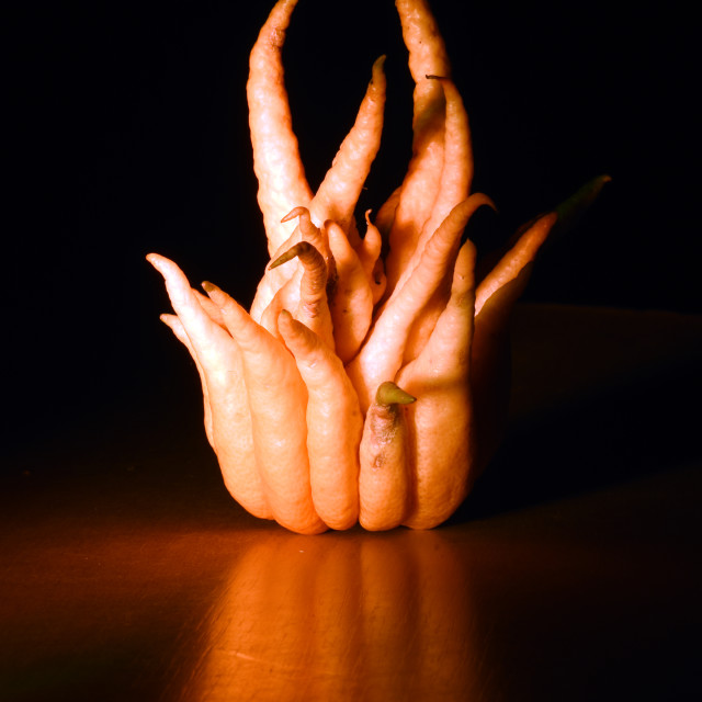 "Buddha's Hand" stock image